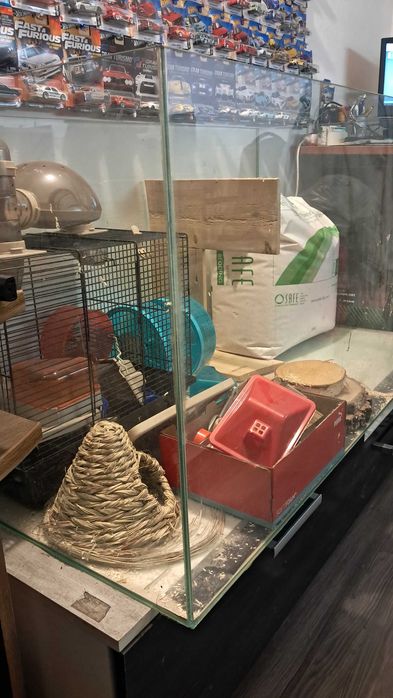 Akwarium terrarium - zestaw do hodowli