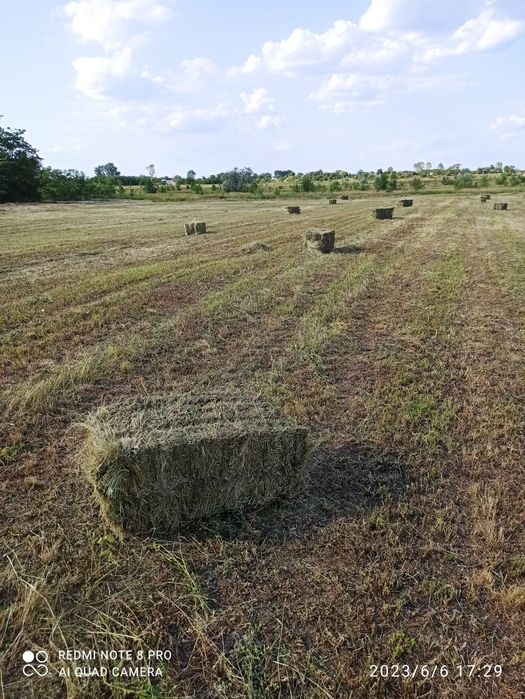 Продам сіно солому люцерну