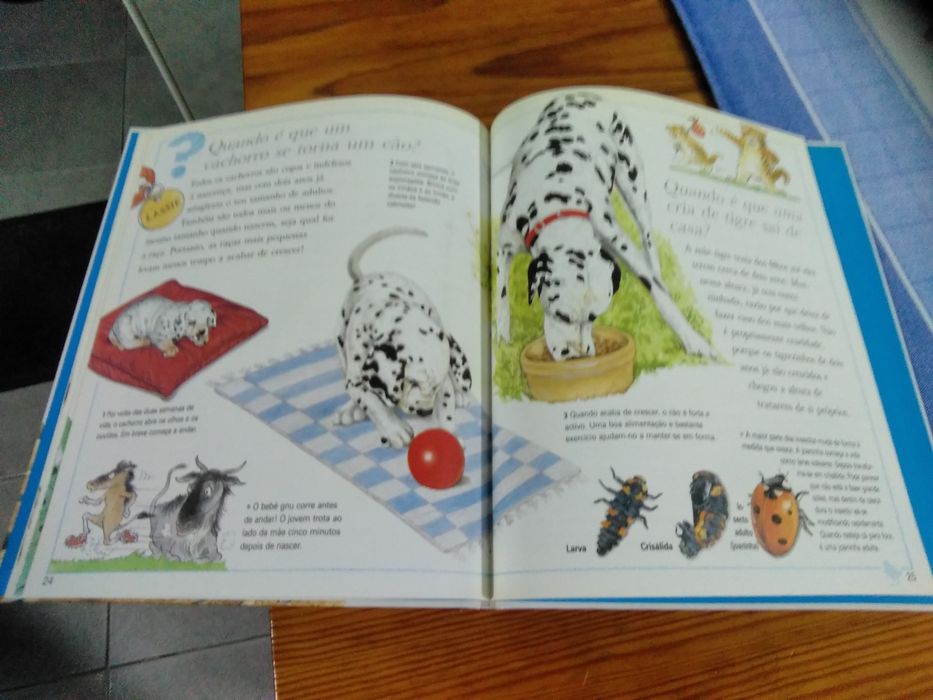 Livro - Porque será...