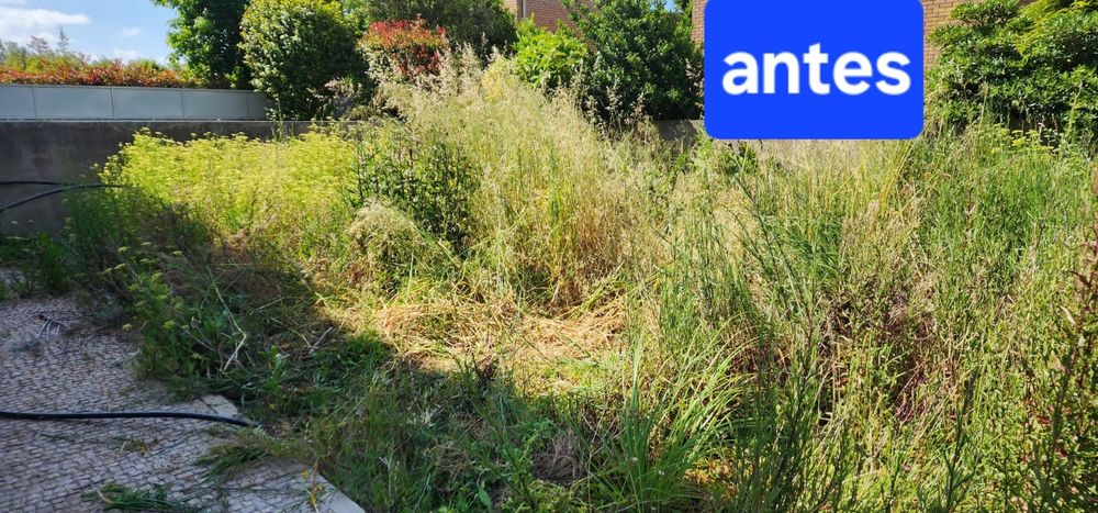 Limpeza de Terrenos e Jardins