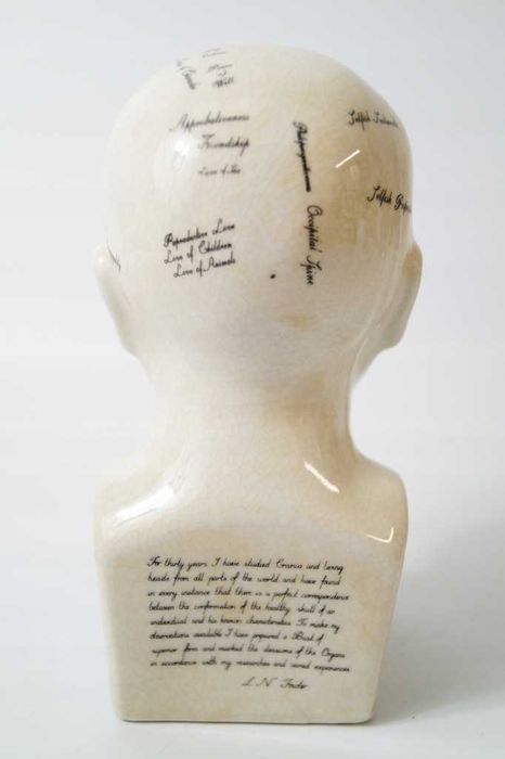 Głowa medyczna lekarska mapa mózgu porcelana