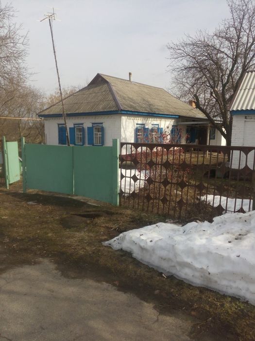 Будинок цегляний з присадибною ділянкою