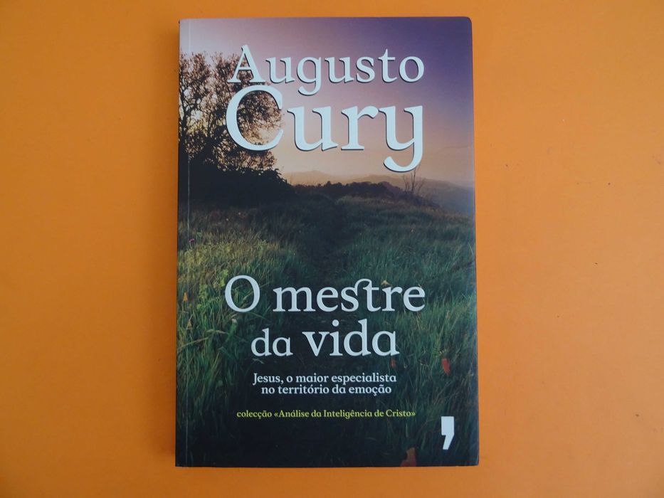 O mestre da vida - Augusto Cury