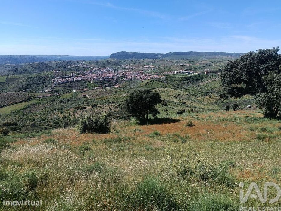 Terreno em Freixo de Espada à Cinta e Mazouco de 49572,00 m2