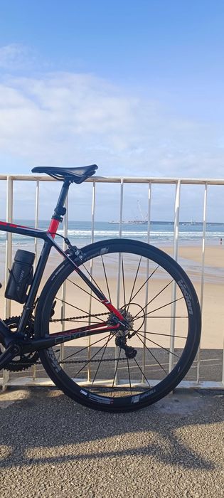 Bicicleta focus Cayo carbono..486277304099819522