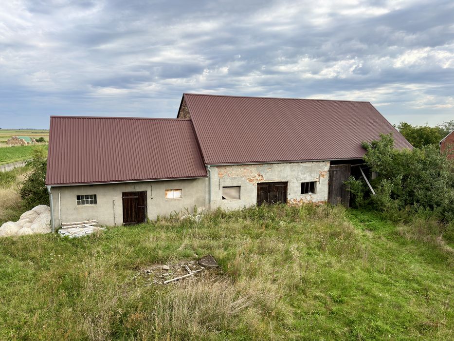 Zdjęcie 3