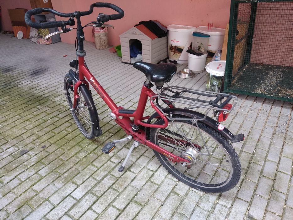 Bicicleta holandesa