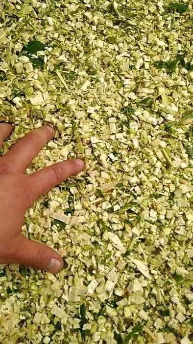 Веткорез Щіпоріз гілкоріз щепорез электродвигатель СССР3-4квтх220\380в