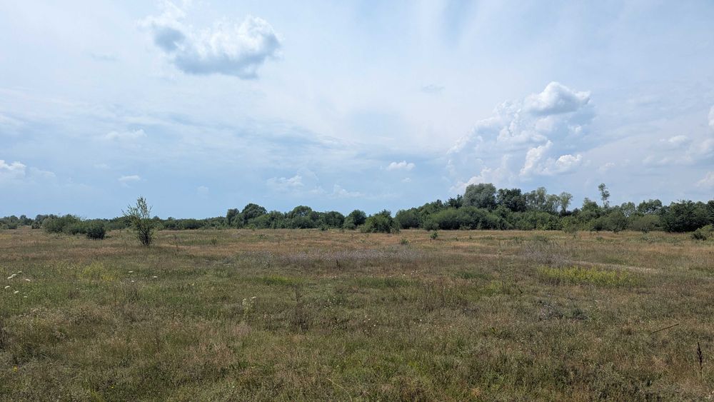 Продається ділянка в с.Березівка(12)