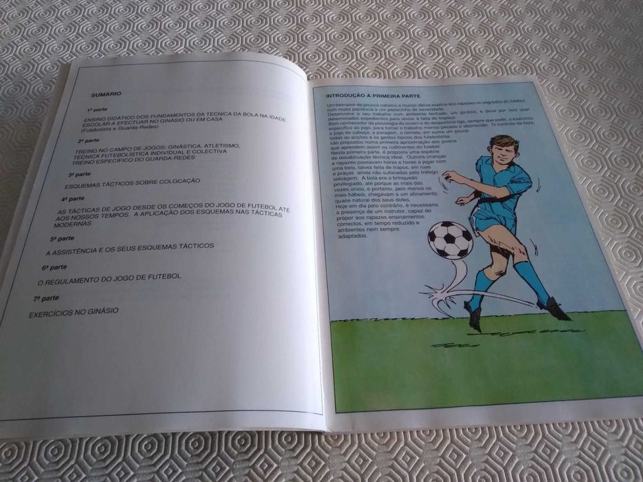 Manual do Futebol Moderno - Do Jovem ao Campeão 1991