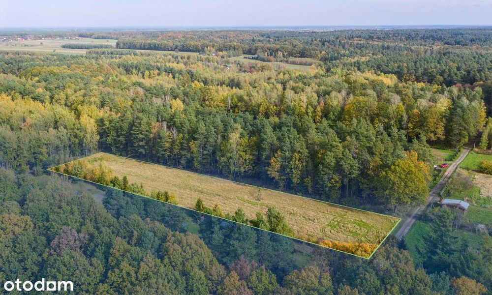 Działka budowlana 5650 m² z gotowym projektem domu