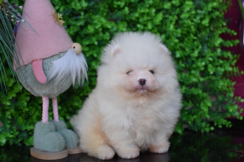 Файний хлопчик