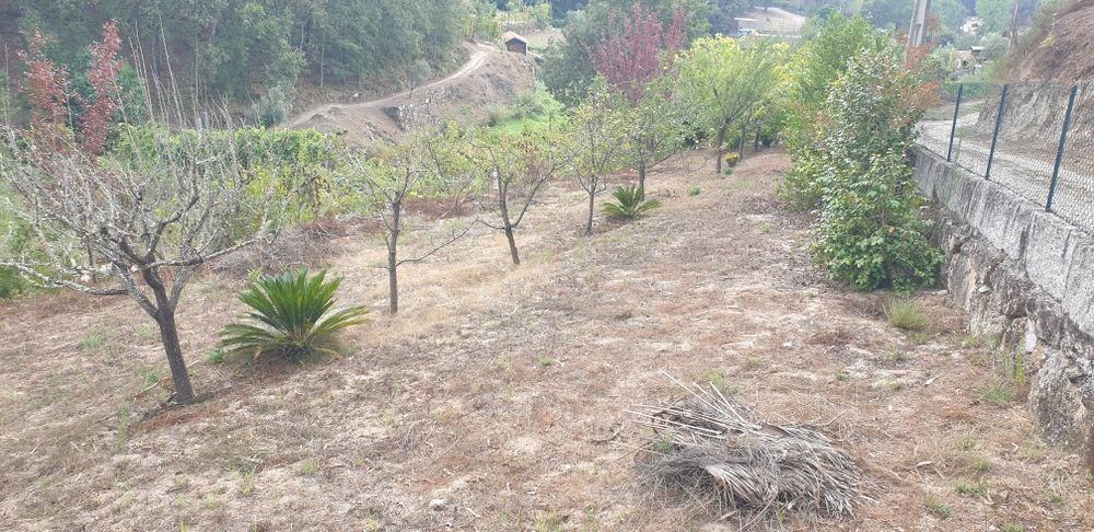 Quintinha em Amarante