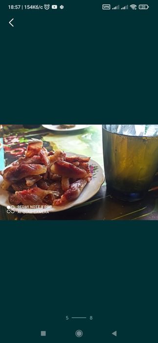 Перепілка несушка техас,фенікс.