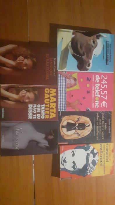 Literatura portuguesa 3