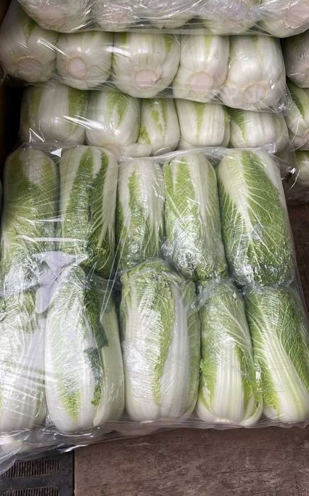 Пекінську капусту потребую на постійній основі