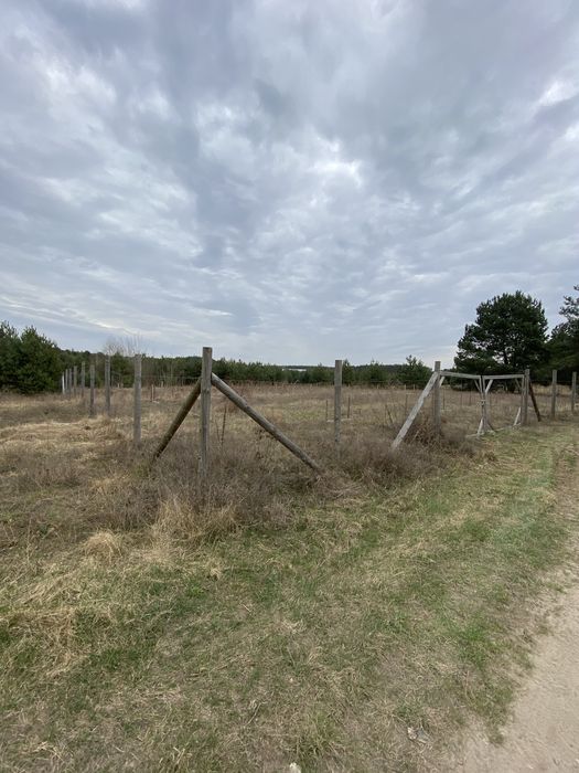 Działka budowlana Łowyń