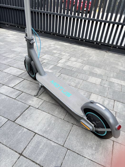 MOTUS Scotty 10 2022r