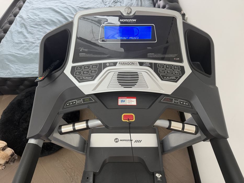 Bieżnia Horizon  Fitness Paragon 6  obciążenie 160kg produkt PREMIUM