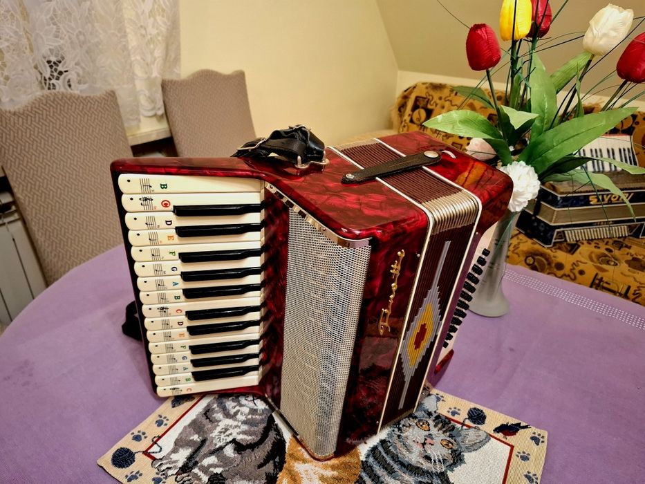 Akordeon Firotti 40 basów