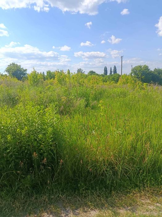 Продаж 16 соток в с. Забір'я. - View 3
