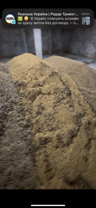 Соя 25 т соя жовта