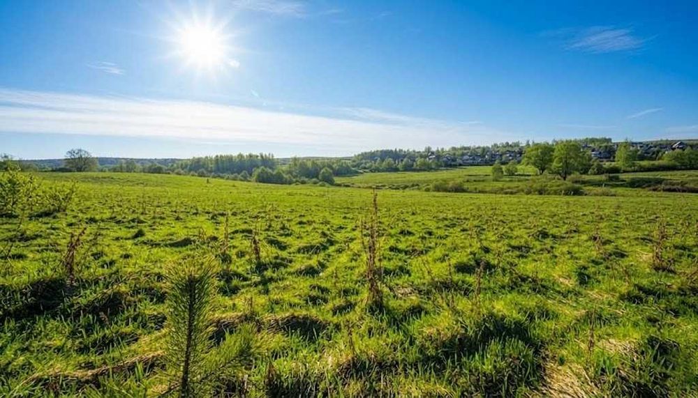 Продаж ділянки 1,70га для будівель закладів освіти. Р-н Ястремщина. ID:771