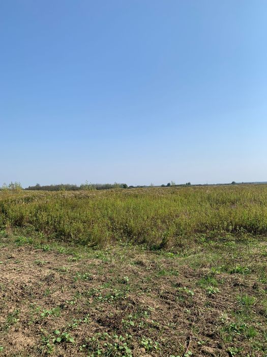 Sprzedam: Działka ROLNA 1,15 ha - Wielowieś, Tarnobrzeg