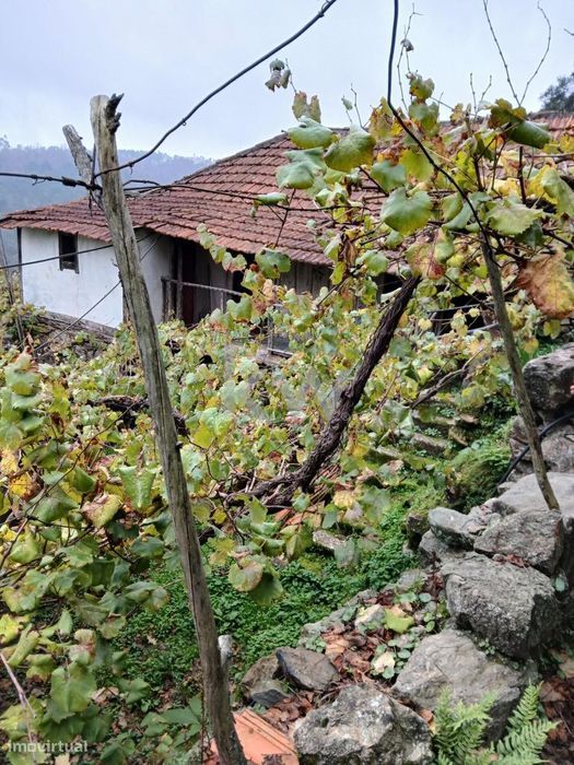 Moradia para Reconstrução com Terreno de 1689m2 e Vista Magnífica sob