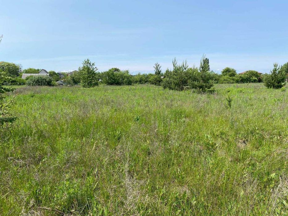 Продаж земельної ділянки, з молодими соснами, 20 хв до Києва