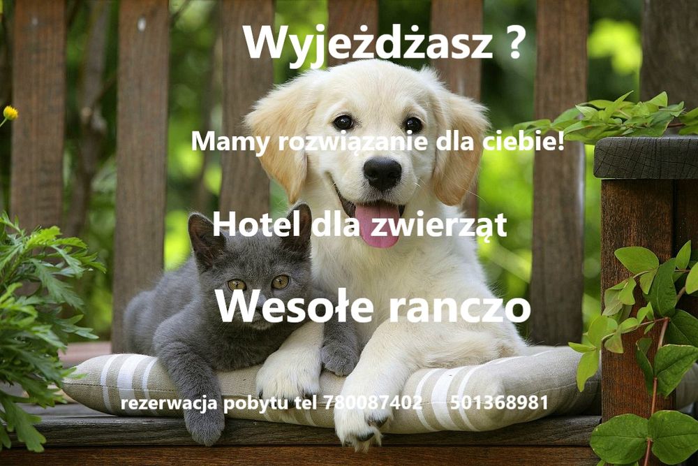Hotel dla zwierząt domowych