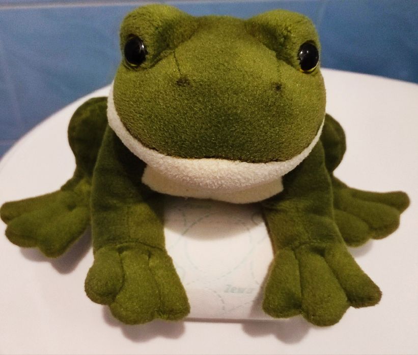 Гарнюня жабка - скрекотушка