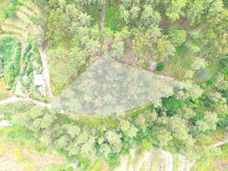 Terreno  para venda