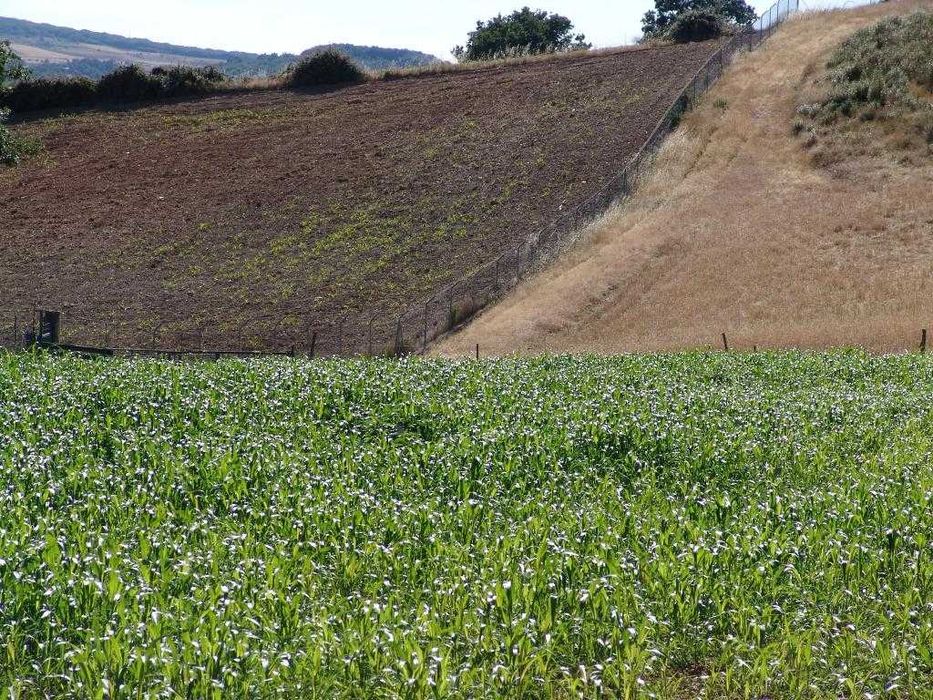 QUINTA_Bragança_Donai