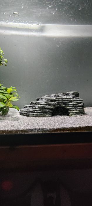 Aquário de 200L com estrutura