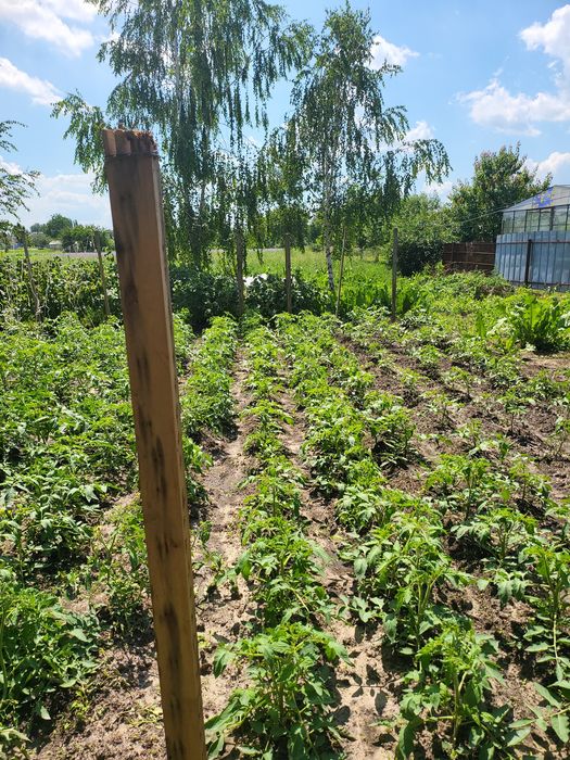 Продажа участка. С. Глибоке .