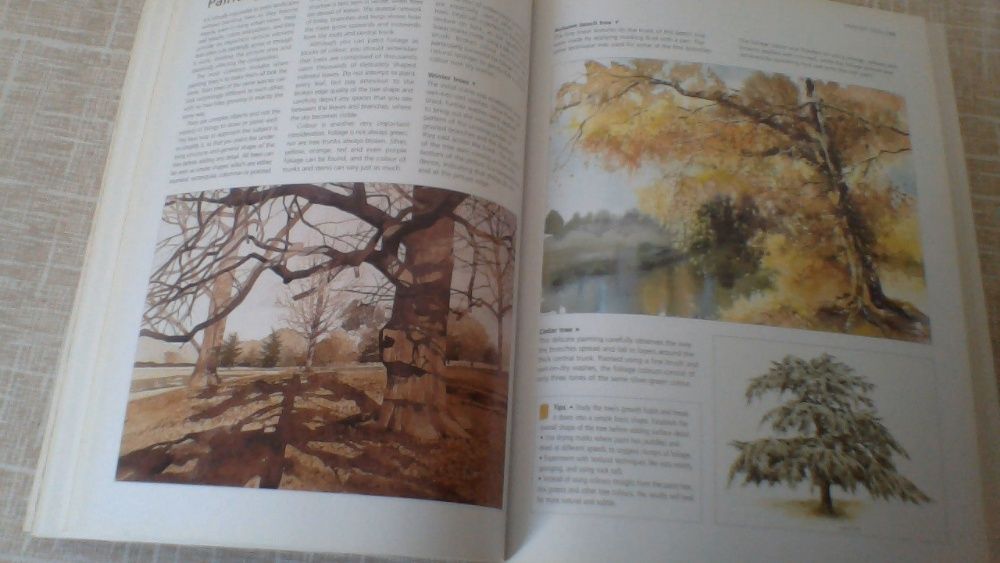 Livro de Pintura em Inglês. English