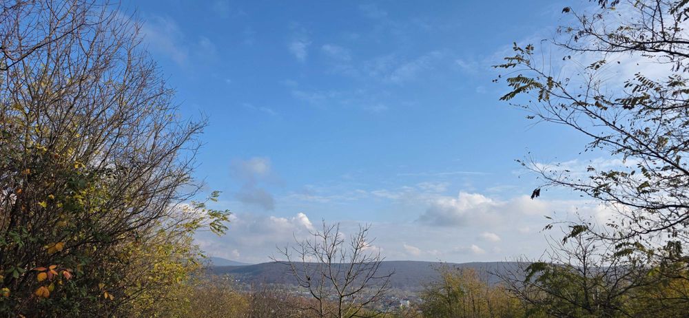 Ділянка район вул.Підлісна