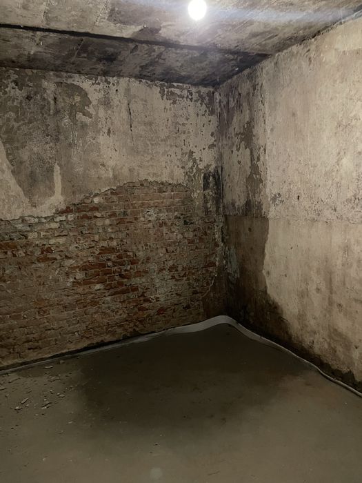 Osuszanie murów Hydroizolacja piwnic Wilgoć w domu Rozwiążemy problem