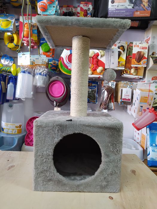 NOVO - Arranhador de Caixa 60cm de altura