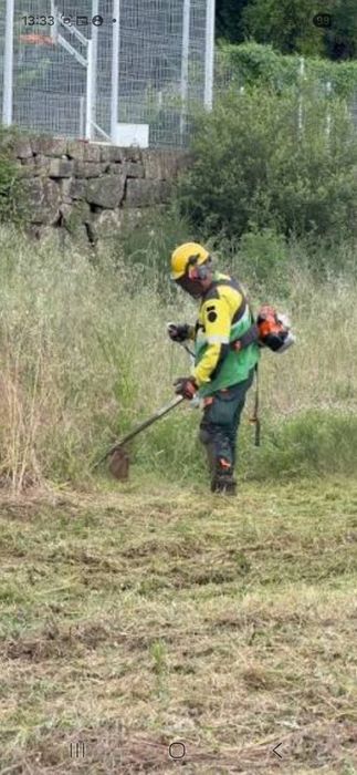 Land Clearing.