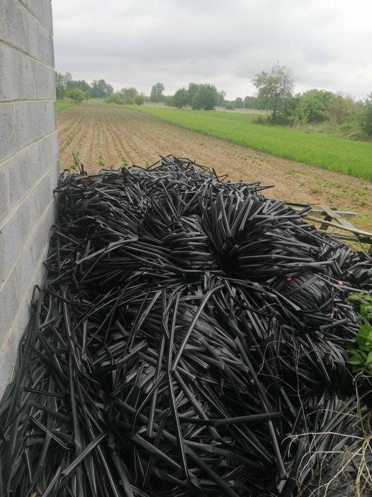 Oddam za darmo węże królujące, taśmy kroplujące