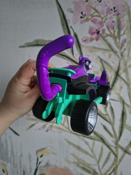 Shade kot kotek psi patrol kocia paczka załoga cat pack