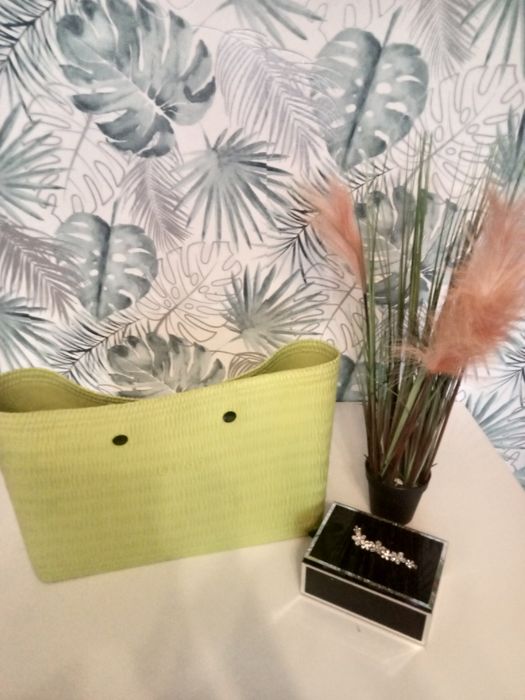 Body obag beach mela