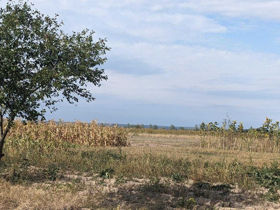 Земельна ділянка під будівництво у с.Радча (13)