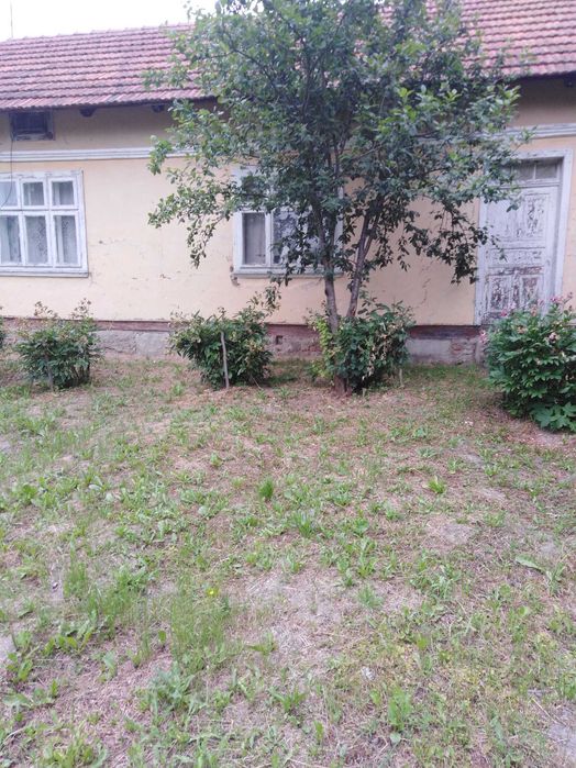 Житловий будинок