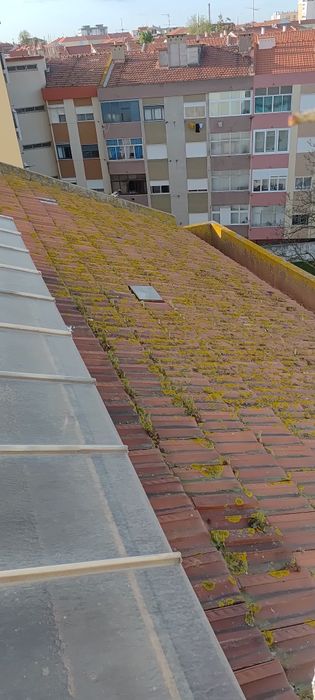 Lavagem e empermeabilizacao de telhados faxadas toldos etc..garantia nos nossos serviços