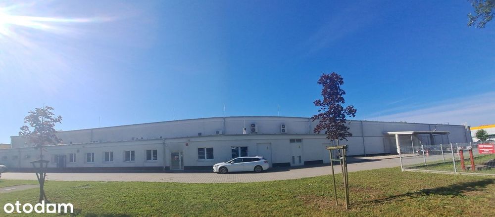 Hala/Magazyn na wynajem
