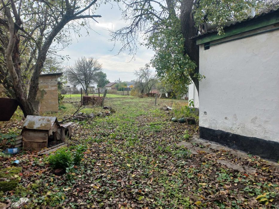 Княжичі, будинок 85кв.м. в центрі села з комунікаціями, 20 соток