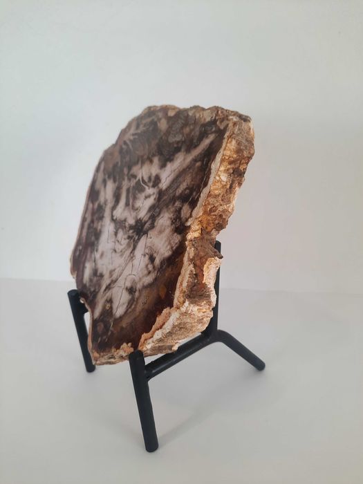 Peça decorativa de madeira petrificada.